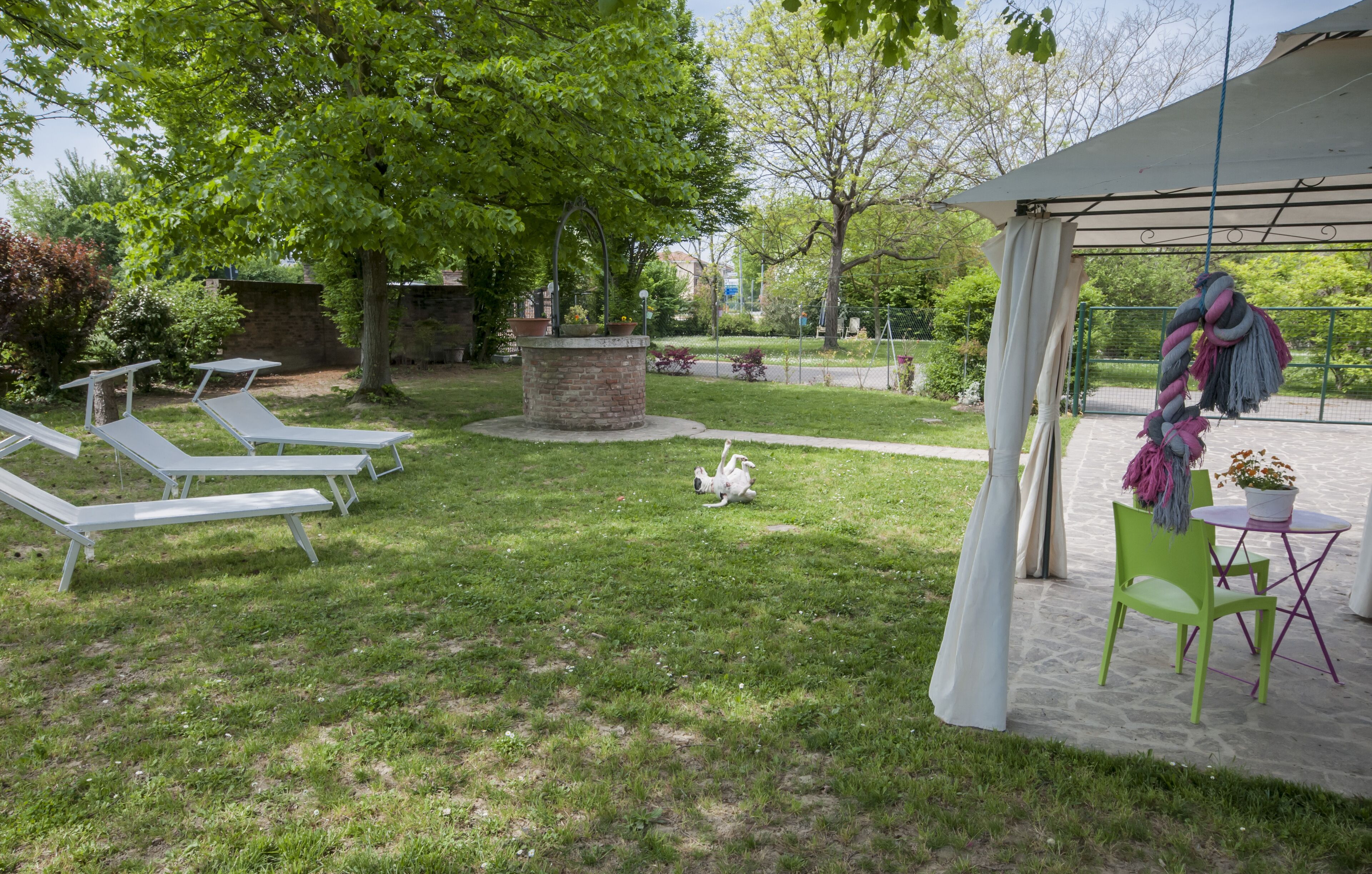 A backyard with a covered patio area, a small garden, and a dog lying on the grass.