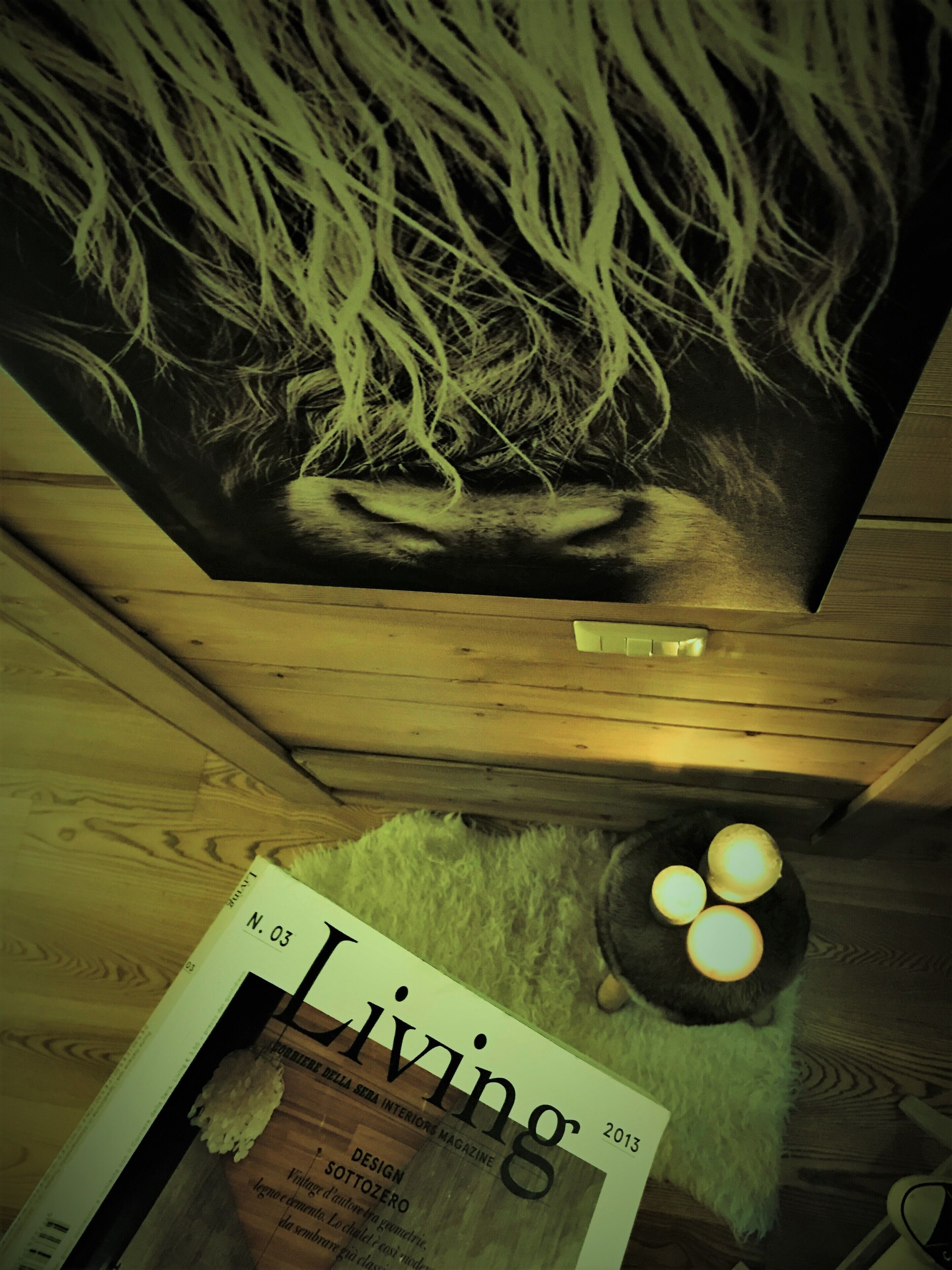 Una rivista intitolata 'Living' con il numero di pagina visibile 'N. 03'.