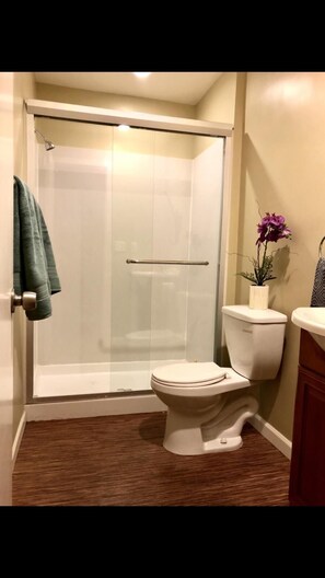 Shower, hair dryer, towels, soap