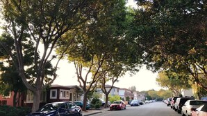A residential street lined with parked cars and houses. - Modern and Perfect Self Contained 4B/2BA Home +  Parking + BART (El Cerrito)