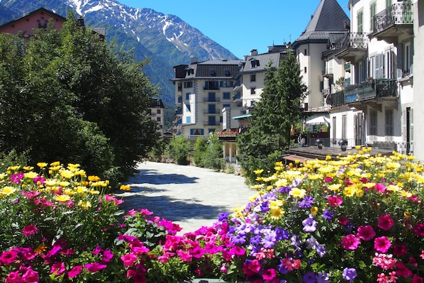 Vista de la montaña con edificios y coloridas flores al frente.