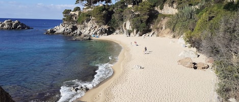 Playa en los alrededores y camastros