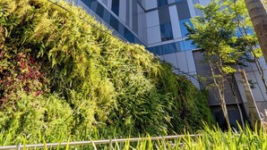 Een modern gebouw met een glazen gevel en een groene dakentuin.