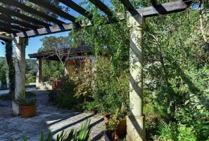 Relax amidst lush greenery and a serene atmosphere in our garden oasis.