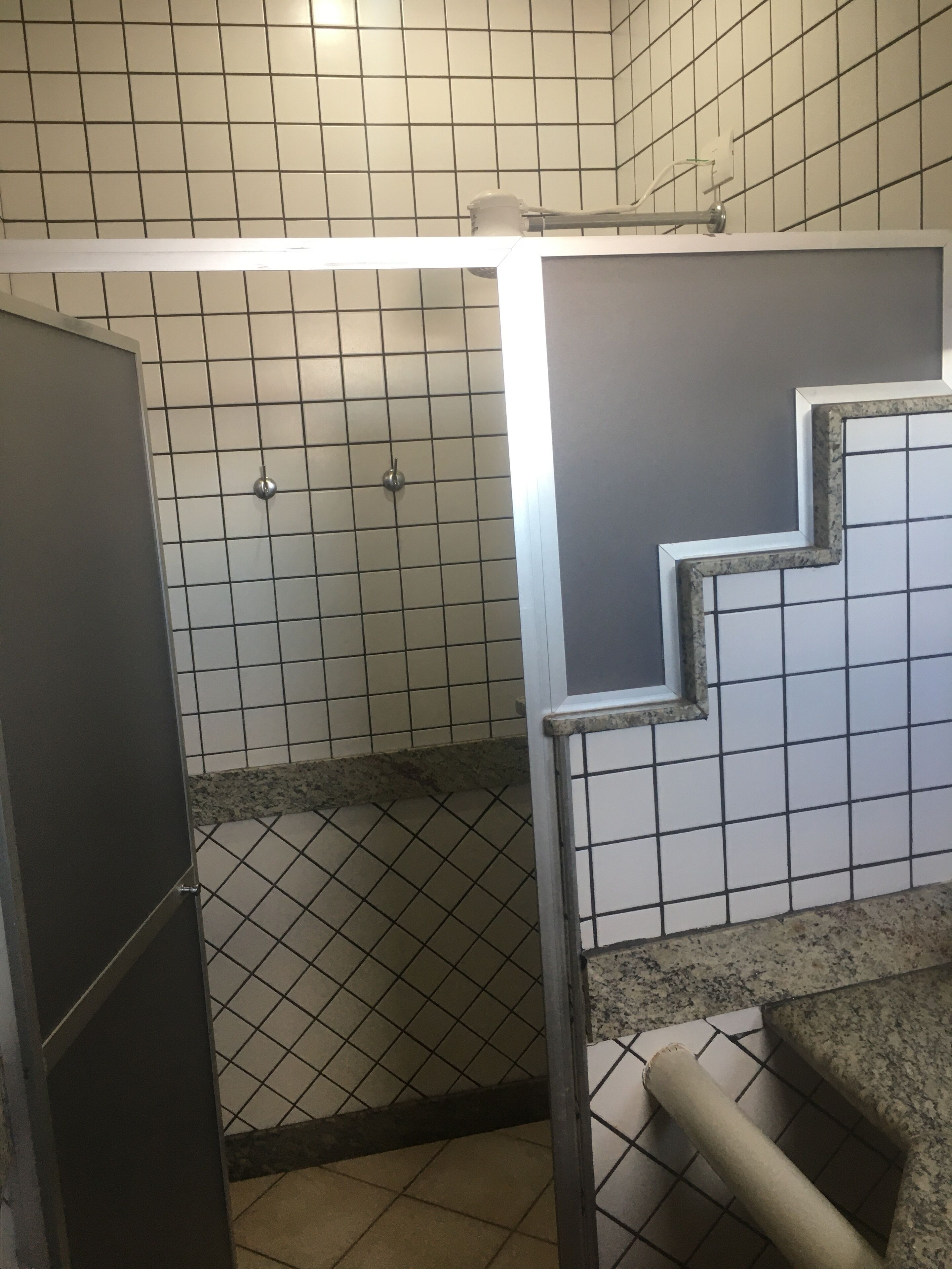 standard room | bathroom | shower, hair dryer, towels