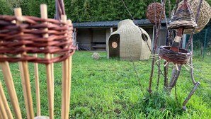 Un cadre extérieur rustique comprenant une zone herbeuse, une structure en bois ressemblant à un abri et plusieurs mangeoires à oiseaux en osier.