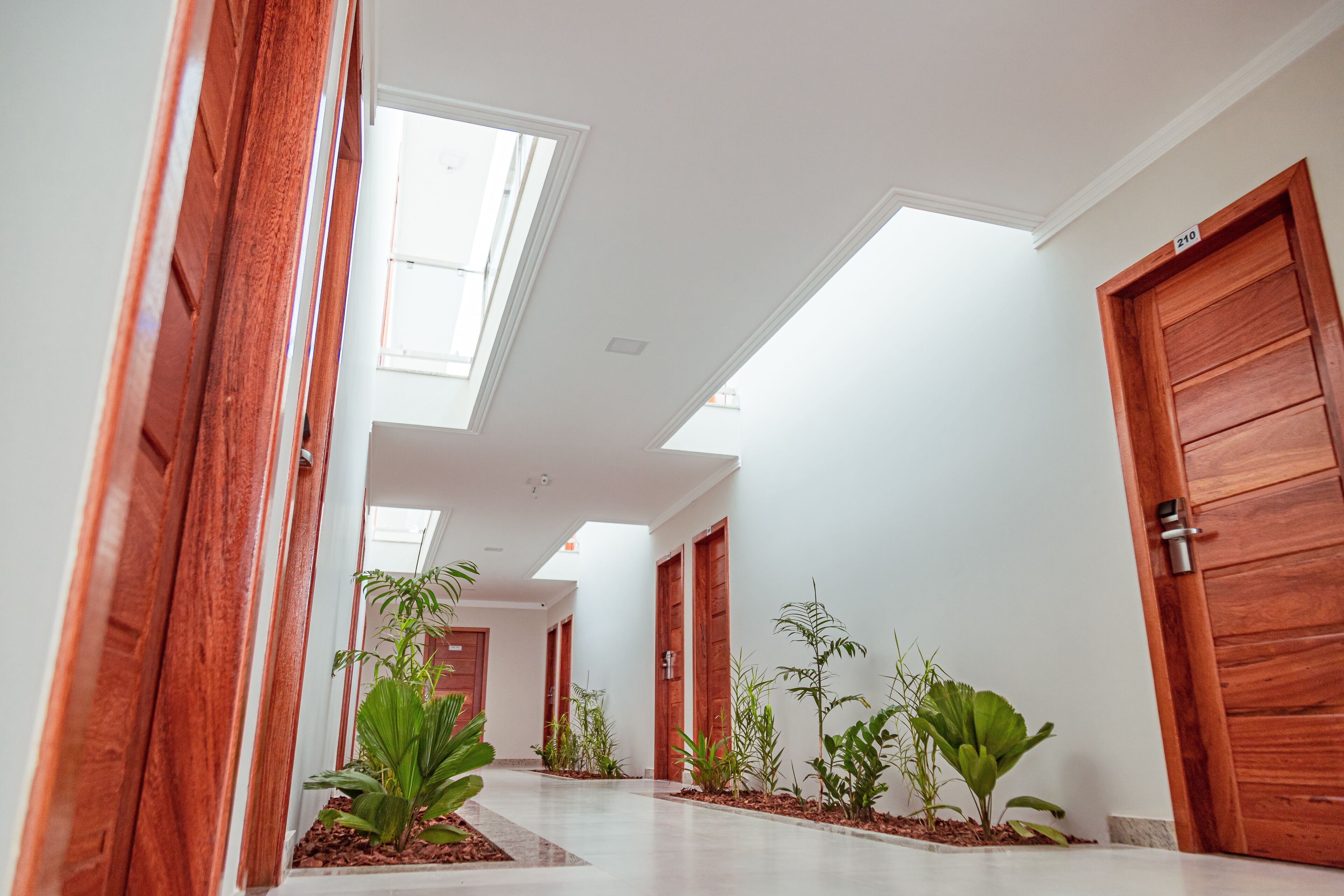 Foto - Orquídeas Praia Hotel