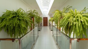 A hallway with glass railings, potted ferns, and a wooden door at the end. - Orquídeas Praia Hotel (Porto Seguro)