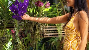 A sign for 'Orquidário' hotel with a person touching a purple orchid plant. - Orquídeas Praia Hotel (Porto Seguro)