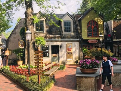 DOWNTOWN GATLINBURG CONDO★ GREAT SMOKY MOUNTAINS★ANAKEESTA★POOL