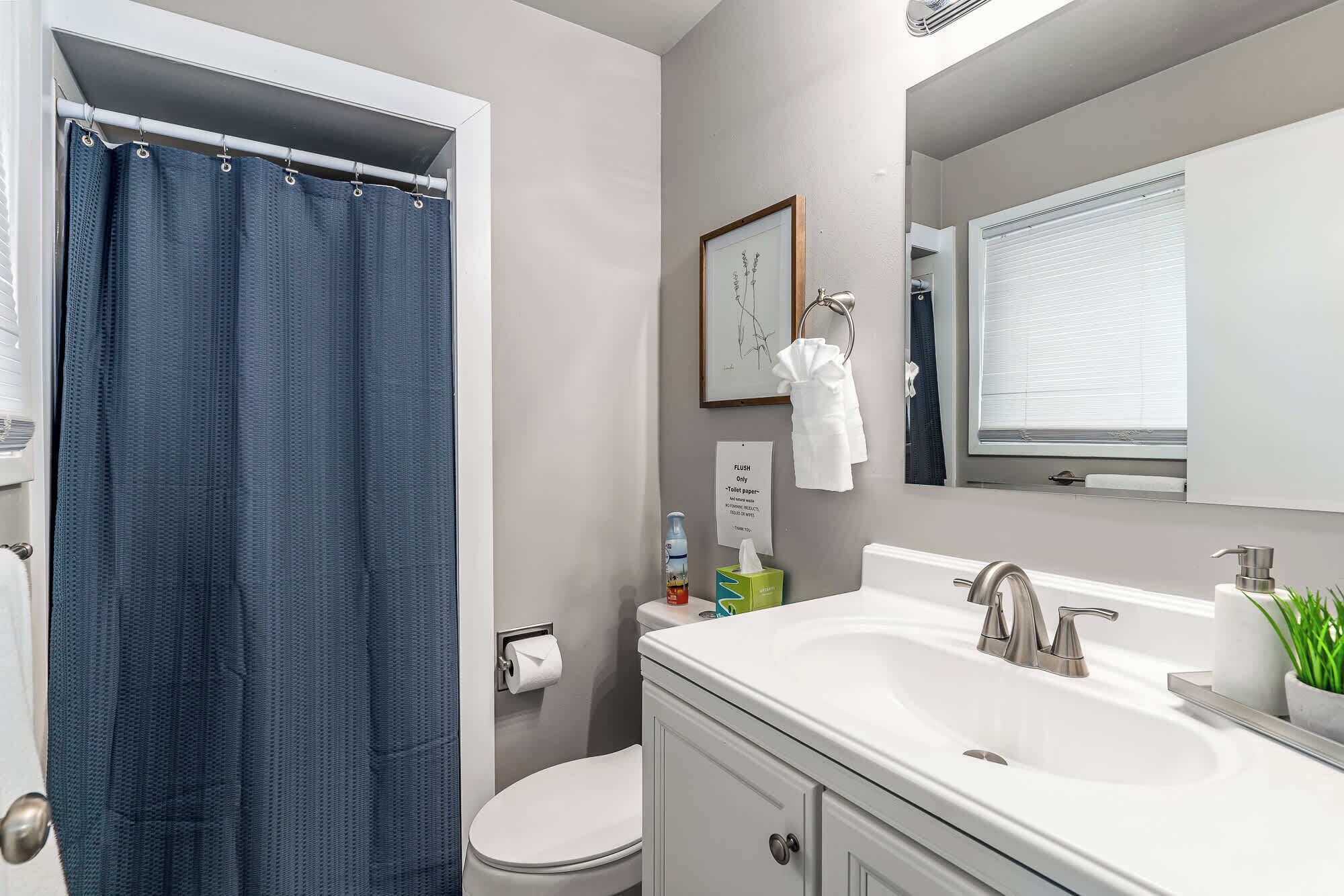 A bathroom with a shower curtain, toilet, sink, and a framed picture on the wall.