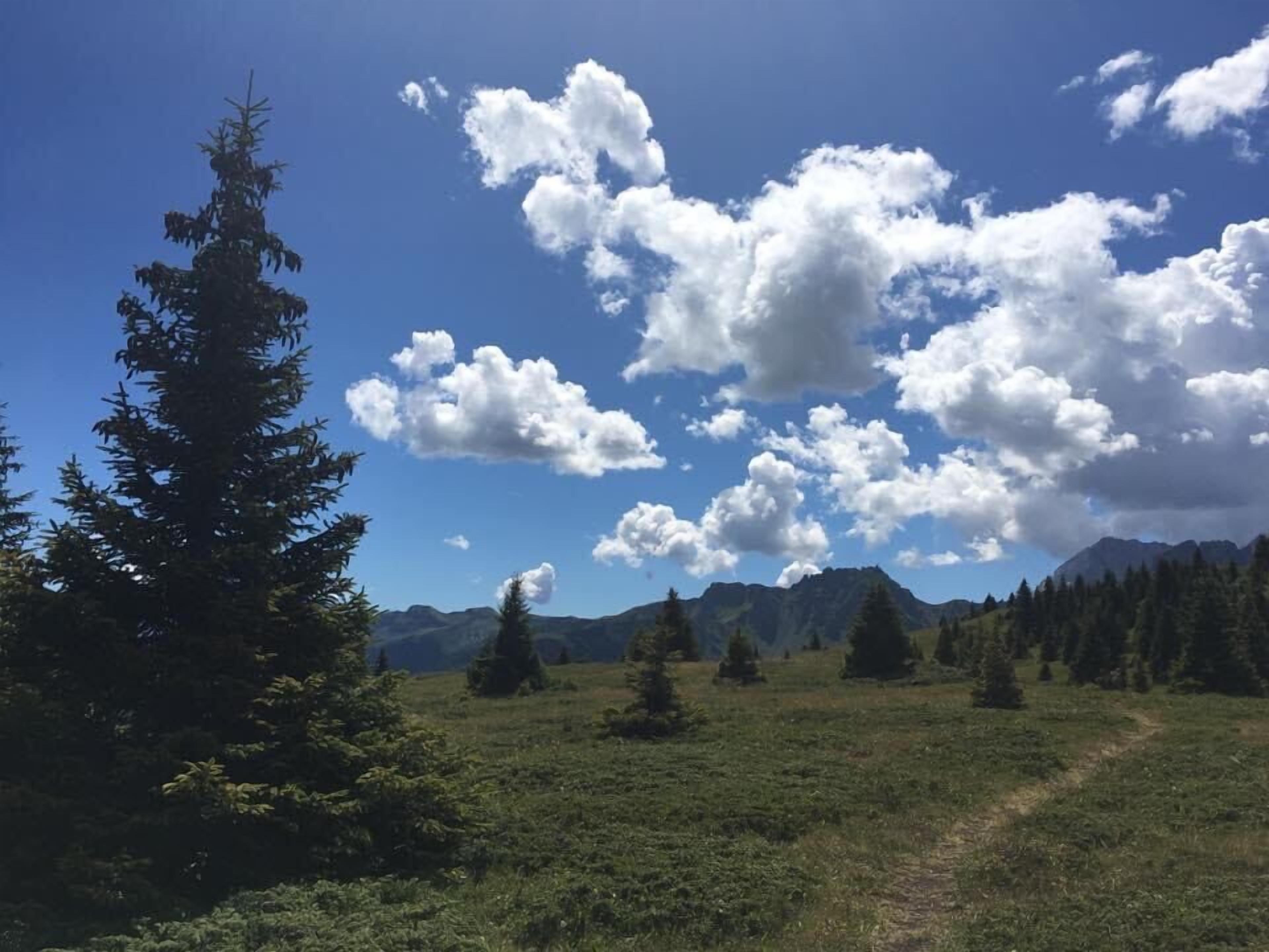 A clear sky with scattered clouds, a grassy field, and a mountain range in the background.