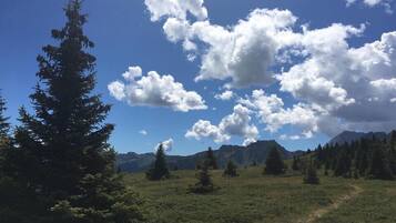 A clear sky with scattered clouds, a grassy field, and a mountain range in the background.