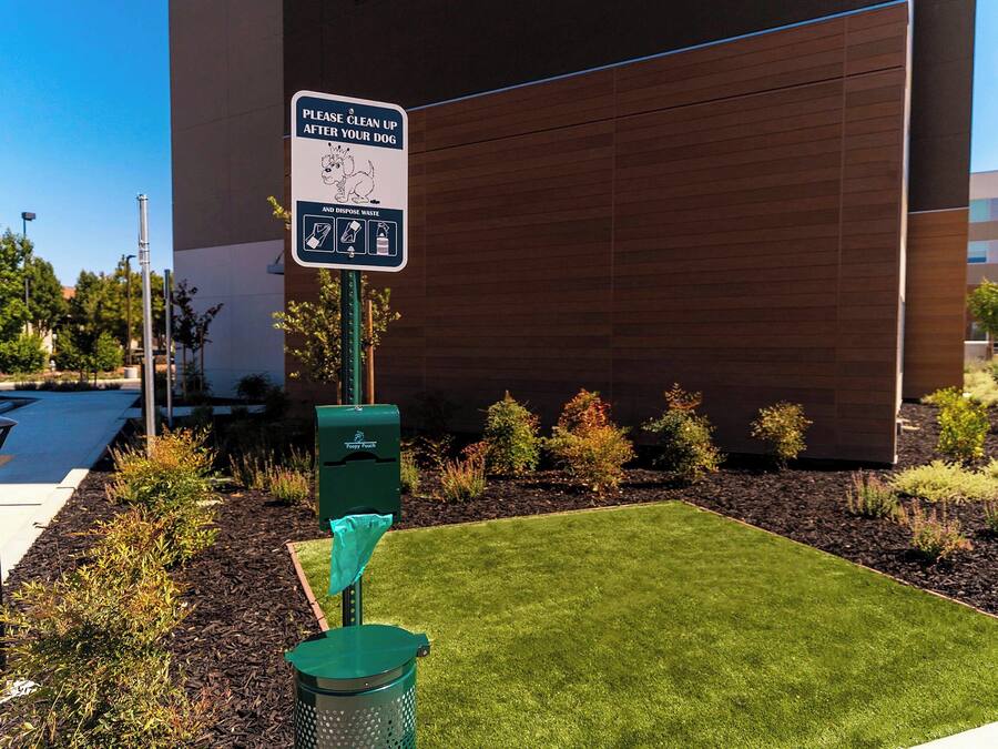 A sign instructing to clean up after dogs, a green trash bin, and a well-maintained grassy area with shrubs and a building in the background.