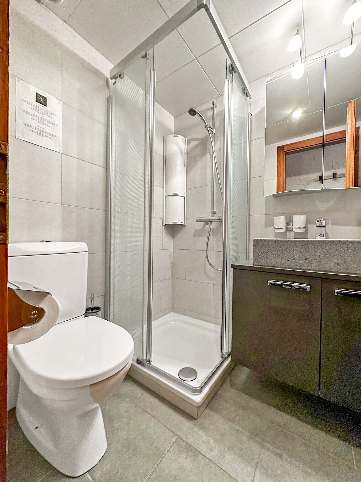 A bathroom with a glass-enclosed shower, a white toilet, and a vanity with a mirror.