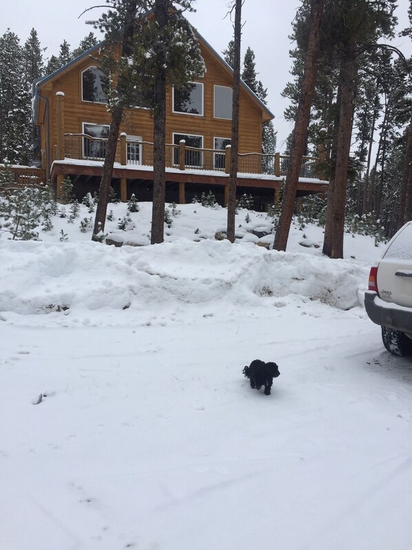 Property grounds