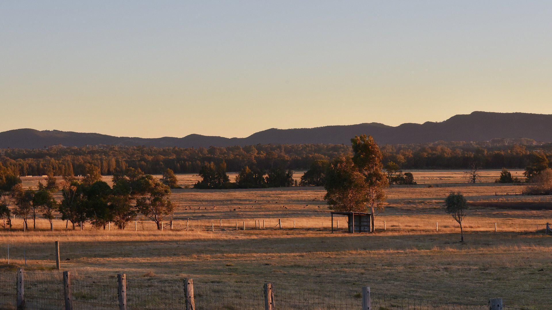 Clydesdale Cottage on Talga with real Clydesdale Horses