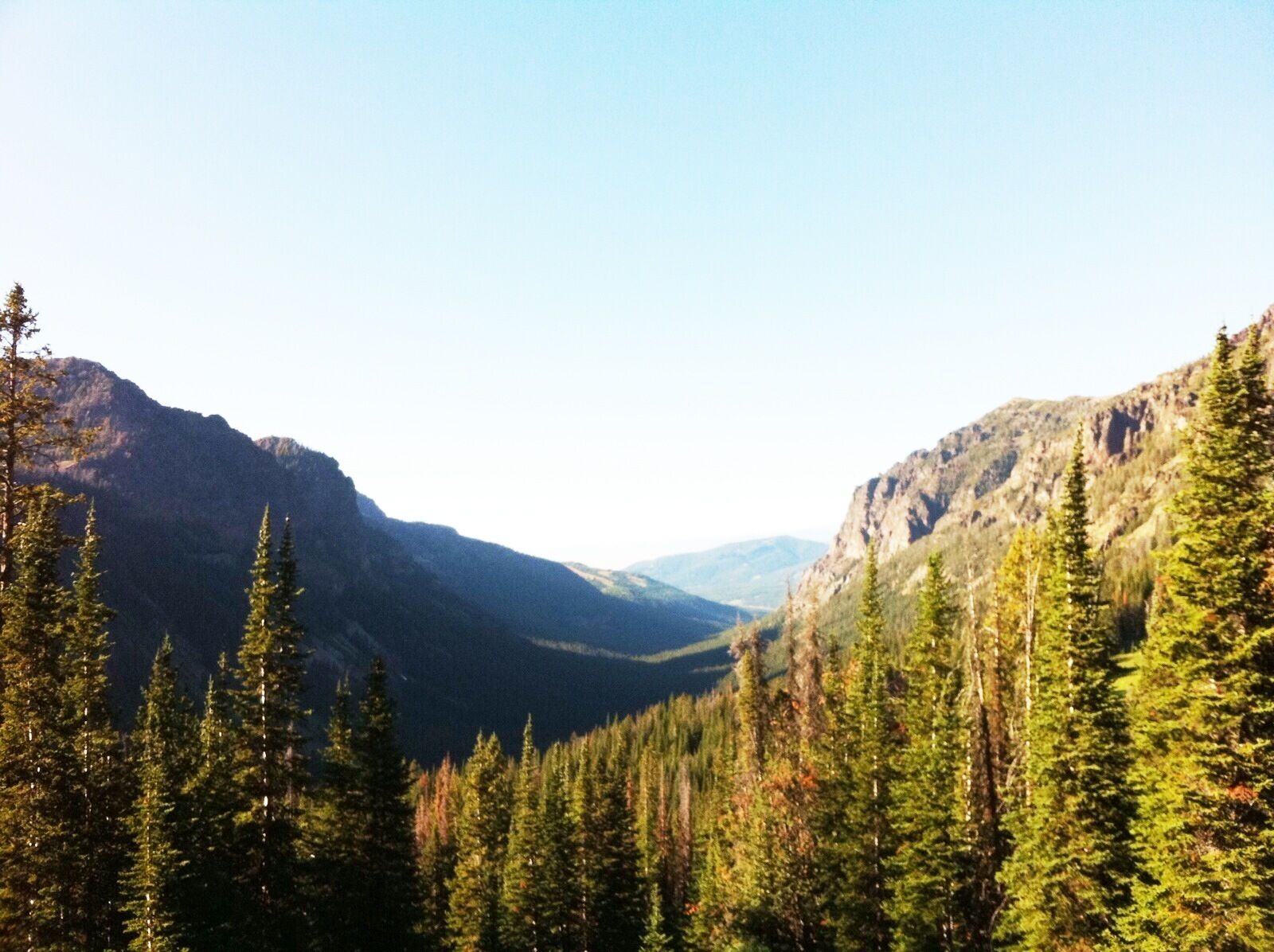 Un paisaje montañoso con bosques densos y un valle.