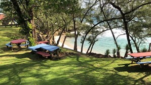 A grassy area with picnic tables and a view of the ocean.