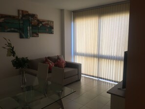 TV, Netflix, streaming services - Especial apartamento en la Ciudad de Mendoza (Mendoza)