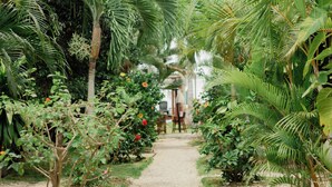 Un sendero de jardín rodeado de abundante vegetación y plantas en flor.