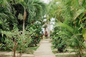 Hallway - Blue Bird Hotel Boutique (Bacalar)