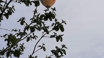 A hot air balloon with the word "CATAMAR" visible, flying above a tree with dense foliage.