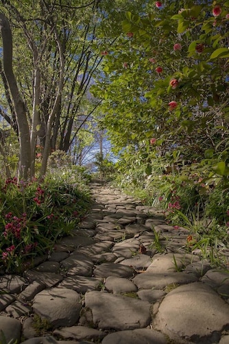 Mrs Simpson Cottage in Norala Garden