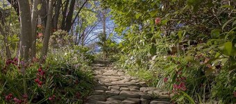 Mrs Simpson Cottage in Norala Garden