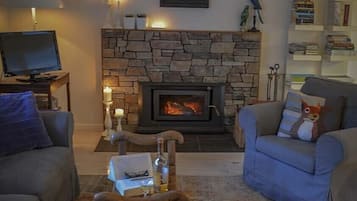 Smart TV, fireplace, DVD player, books