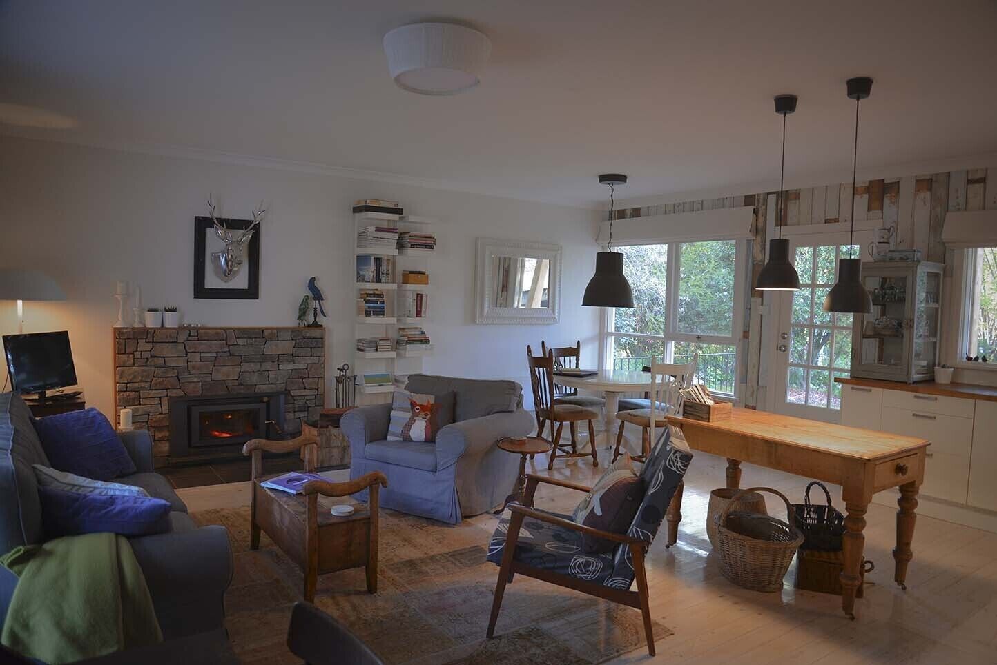 Smart TV, fireplace, DVD player, books