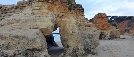 ビーチの近く、サンラウンジャー