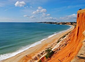 ビーチの近く、サンラウンジャー