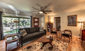 TV, fireplace, books, stereo