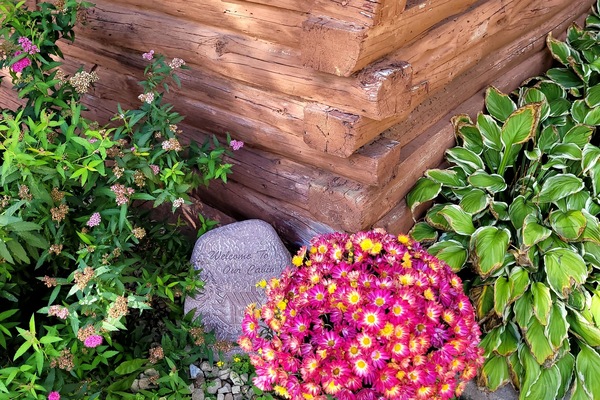 DĂ©tail de lâextĂ©rieur