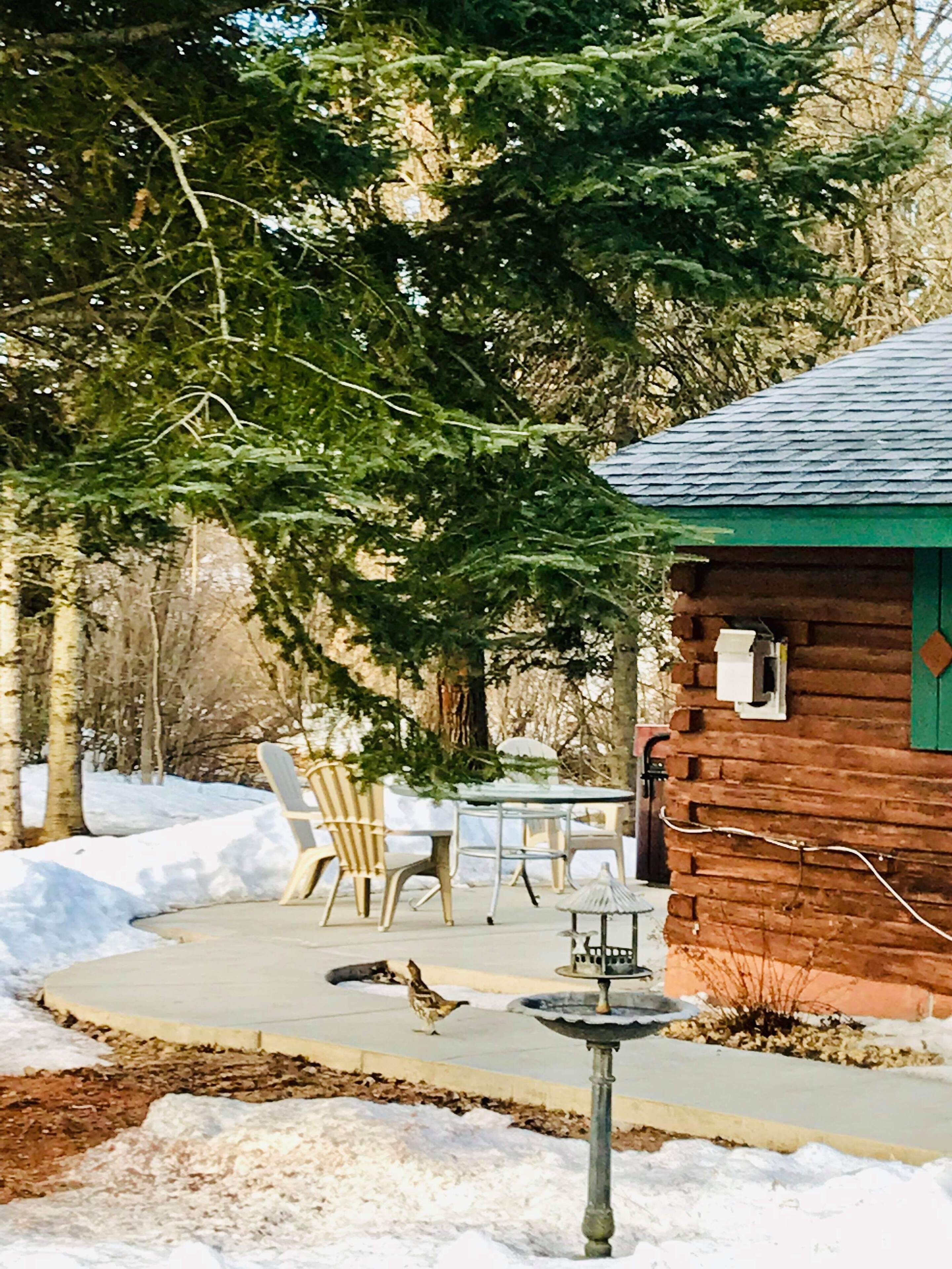 Restauration en plein air