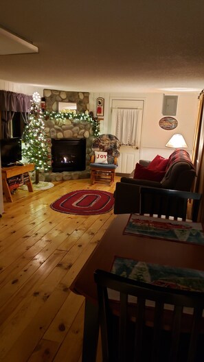 TV, fireplace, DVD player, video library