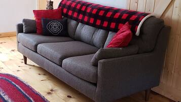 TV, fireplace, DVD player, video library