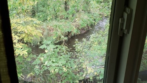 Une vue à travers une fenêtre sur un paysage naturel, avec un ruisseau et une végétation luxuriante.