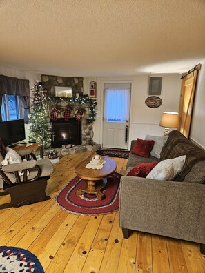 Fernseher, Kamin, DVD-Player, Videothek