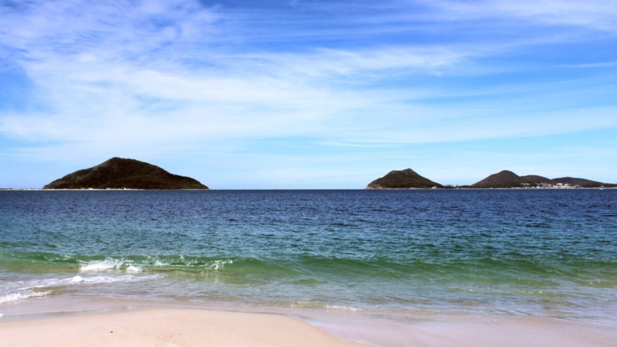 Imagen de perfil del propietario o de la propietaria