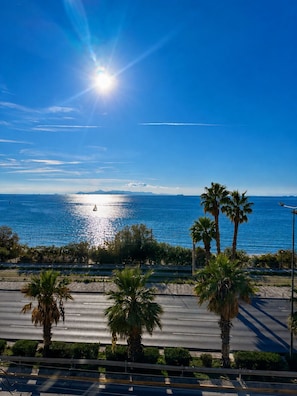 A coastal road with palm trees, a clear sky, and the sun shining over the sea.