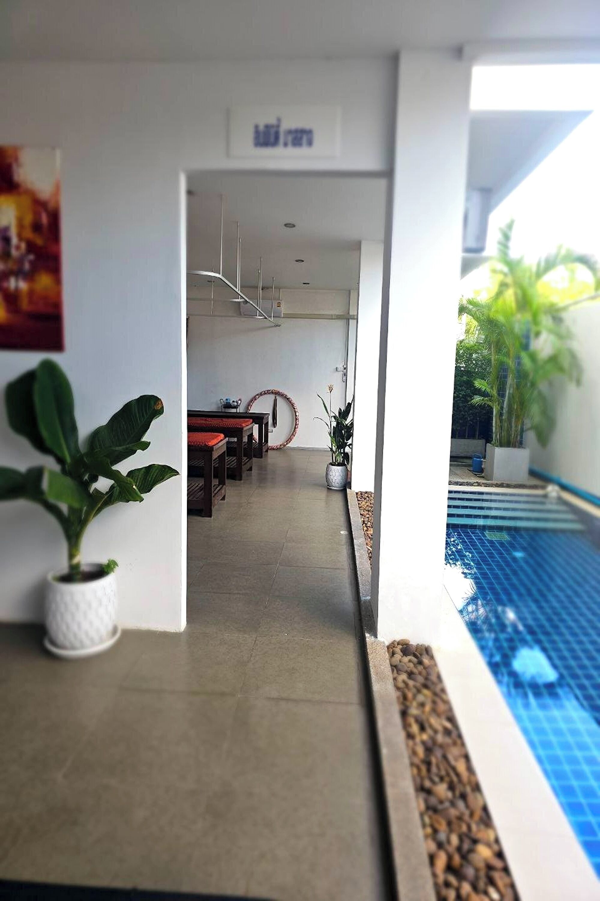 A modern hotel interior with a pool area, potted plants, and a reception desk.