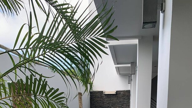Una piscina con azulejos azules, rodeada de paredes blancas y una palmera.