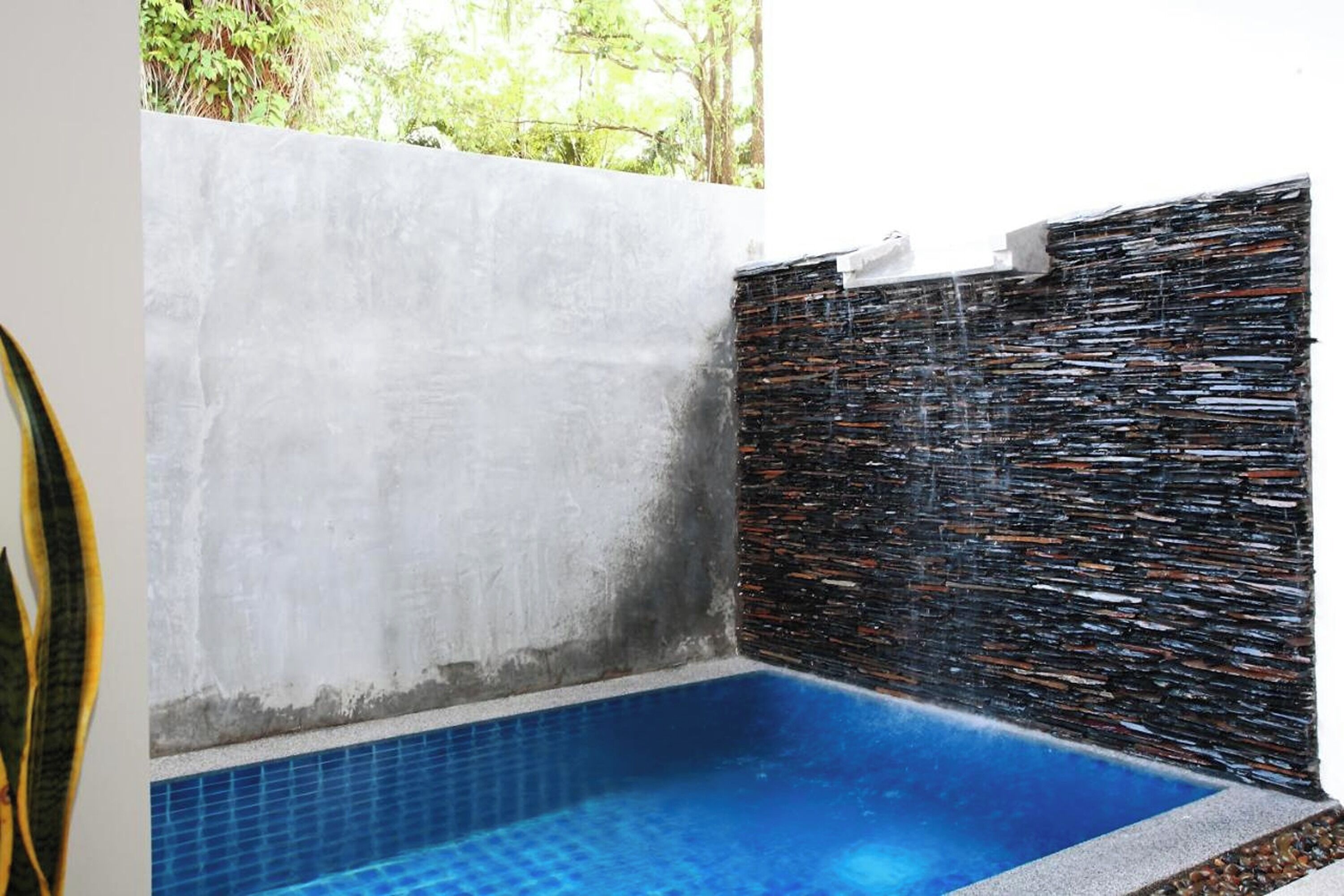 A small, rectangular pool with blue tiles, surrounded by a concrete wall and a textured stone wall.