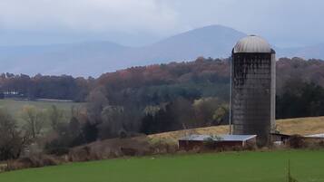 Paisaje rural con un silo y una construcción pequeña, rodeado de campos y árboles.