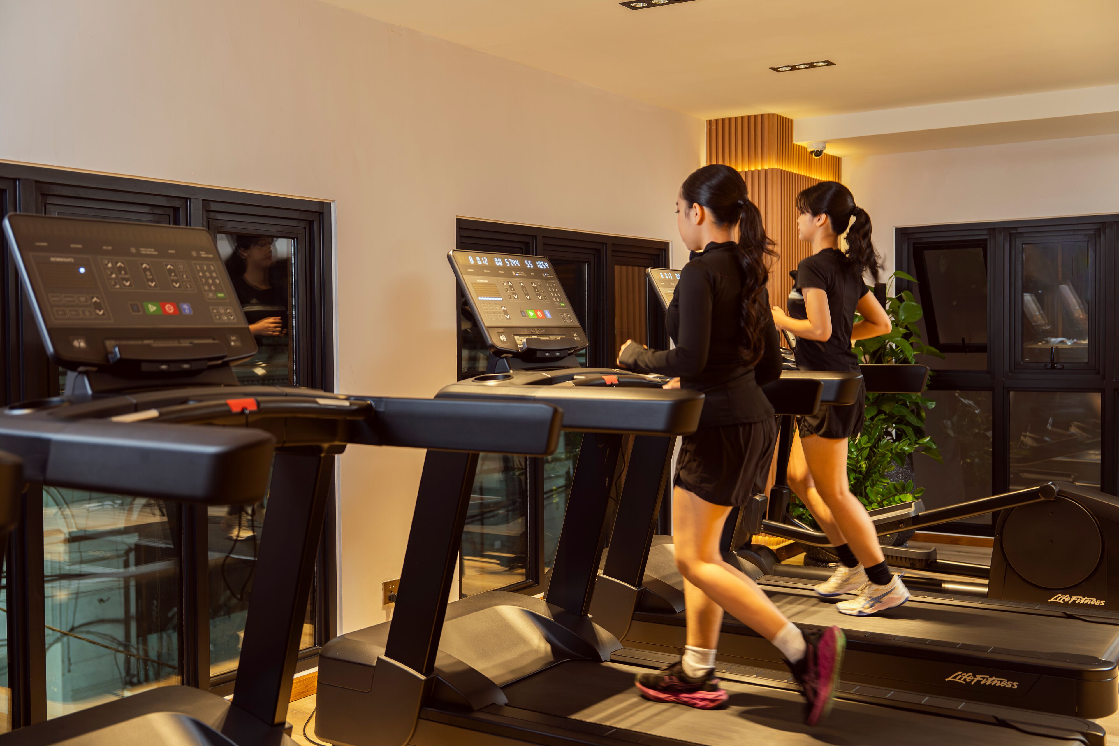 A gym with treadmills, a digital interface, and a potted plant.