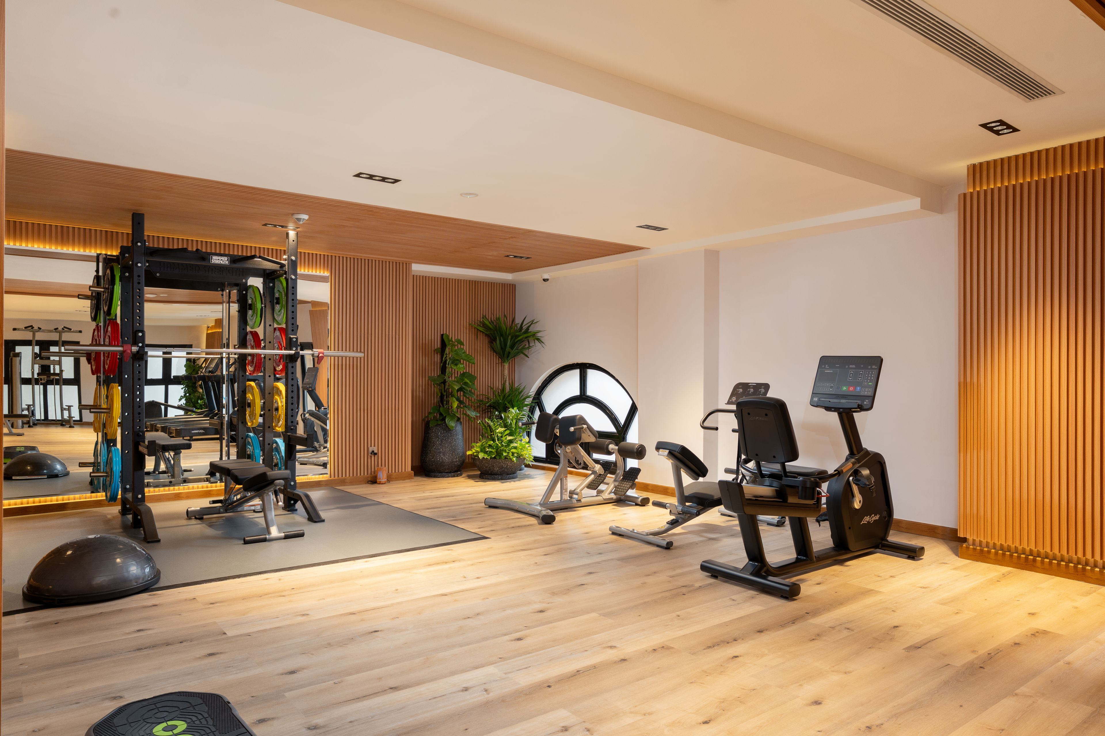 A modern gym with various exercise equipment, including a squat rack, weight bench, and cardio machines.