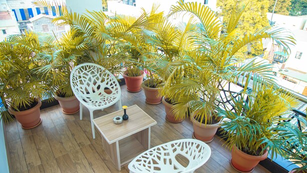 Een balkon met potplanten, witte stoelen en een kleine tafel.