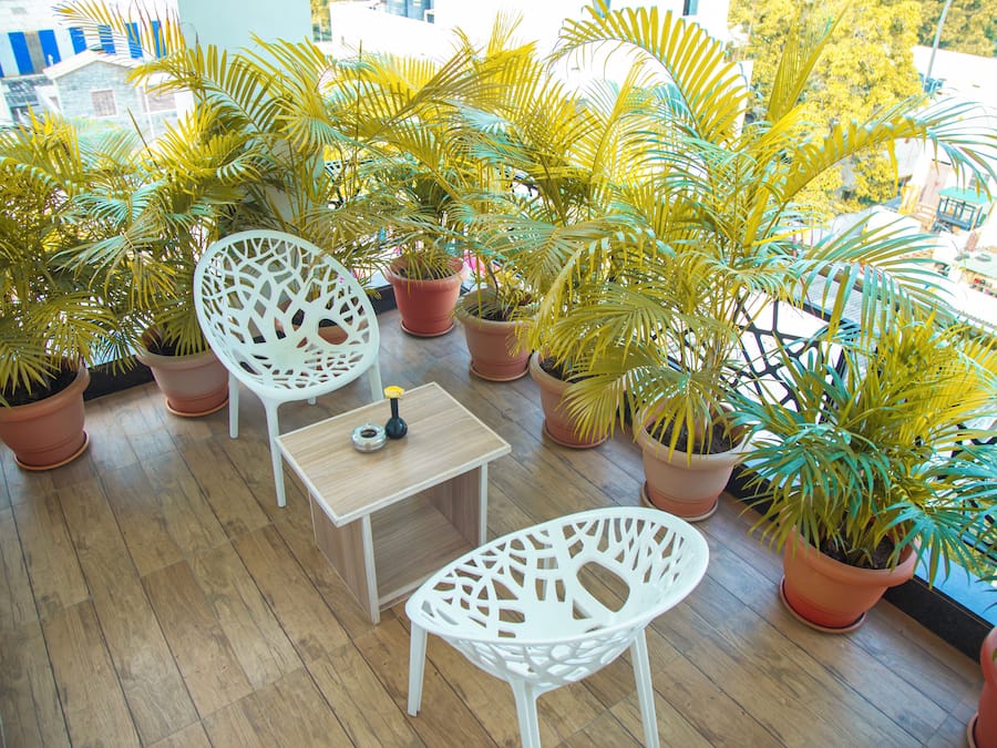 Premium Room | Living area | 32-inch LED TV with cable channels, TV